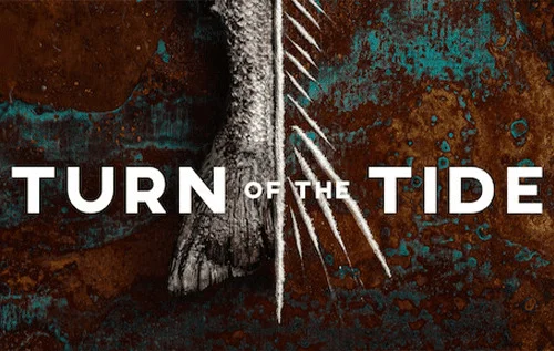 Filmwelt bei IPTV Laden